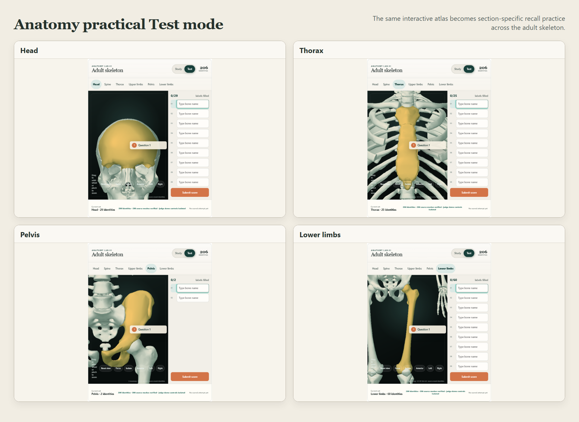 Four current Test mode views showing recall questions for the head, thorax, pelvis, and lower limbs